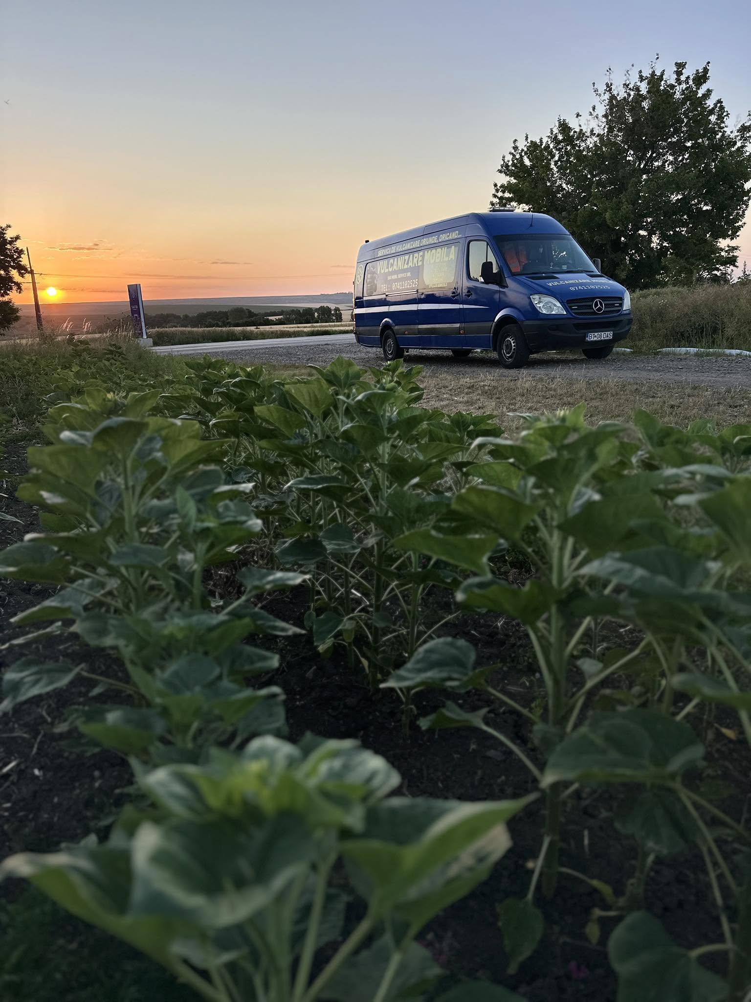 Lucrare DAS Mobil Service