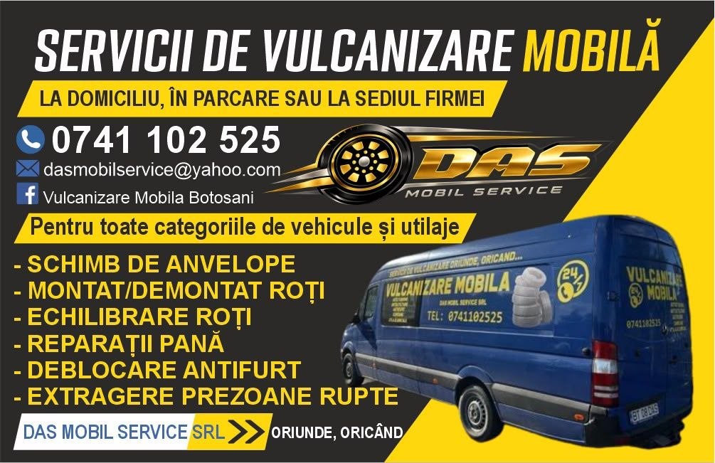 Lucrare DAS Mobil Service